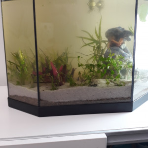 Low tech