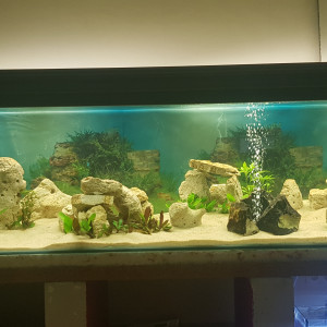 1000 litres