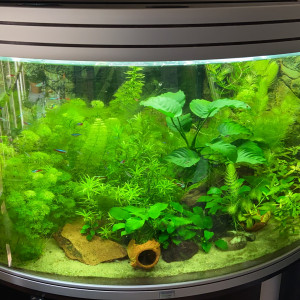 190 litres