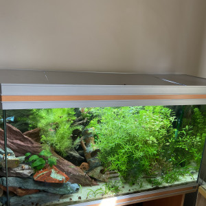 200 litres