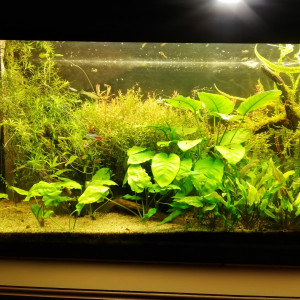 Low tech