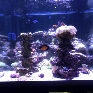 mon cube 450 litres