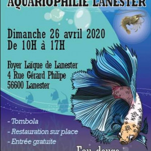4ème bourse aquariophile lanester