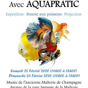 Week-end Aquariophilie - Bourse d'Aquapratic