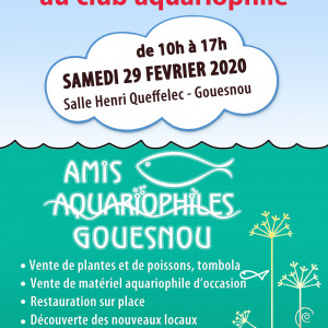 Amis Aquariophiles de Gouesnou
