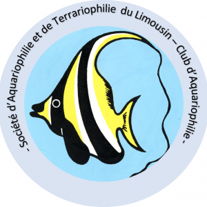club aquariophilie Société d'Aquariophilie et de Terrariophilie du Limousin (SATL)