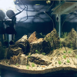 Montainscape