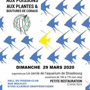 BOURSE AUX POISSONS AUX PLANTES & BOUTURE DE CORAUX