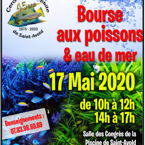 bourse aux poissons et eau de mer