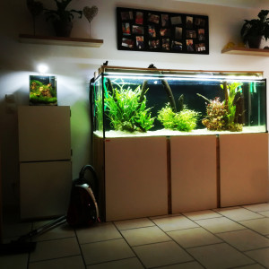 600 litre Amazonie