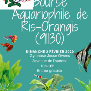 Publication de Masson