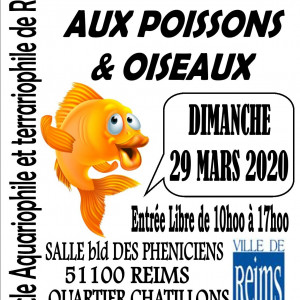 REIMS (51) - BOURSE aux POISSONS et OISEAUX  LE 29 Mars 2020