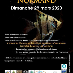 Bourse de l'association aquariophile de Rouen