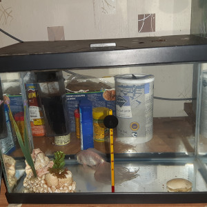 Aquarium eau froide