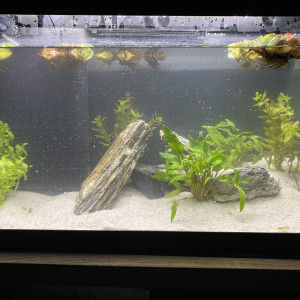 40 L