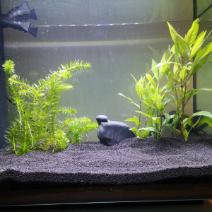 Fluval Spec 60L