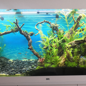 Juwel 450