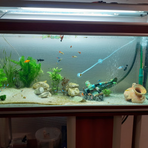 Aquarium Principal