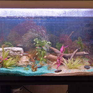 aqua 120