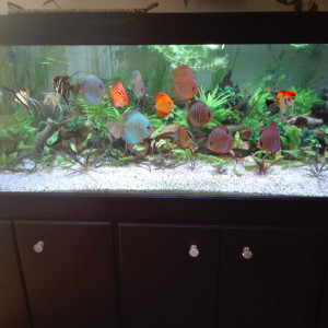 mon 1400 litres