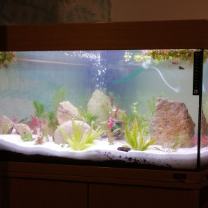 aqua 200