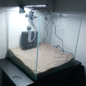 Publication de Orchidsfish
