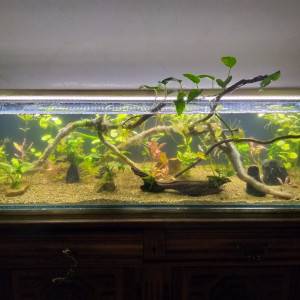 Publication de Khaliluss