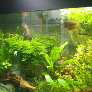 Publication de Stef7524