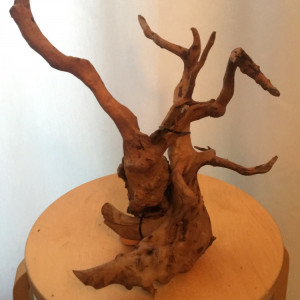 Publication de Alexxis