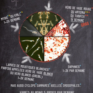 Publication de NakMuay