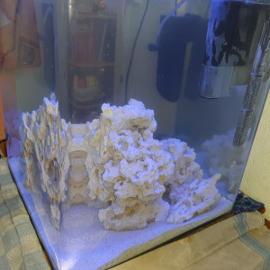 Publication de duarte