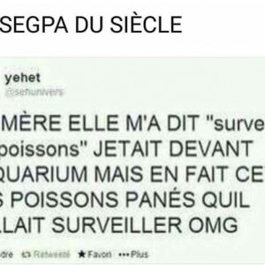 Publication de NakMuay