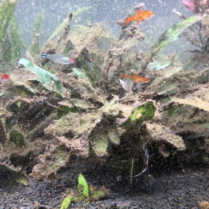 Publication de Florents94