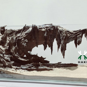 Publication de NakMuay