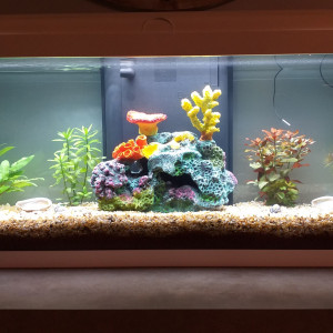 aquabest