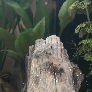 Publication de Fabien_59