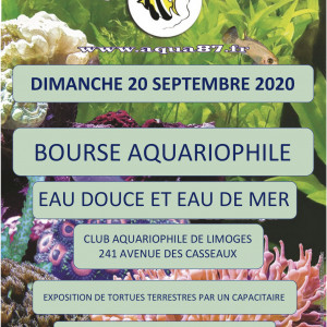 Publication de Etienne87