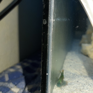 Publication de duarte