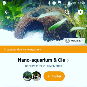 Publication de Orchidsfish