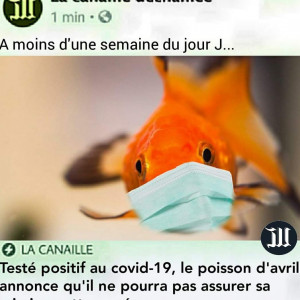 Publication de Alsept