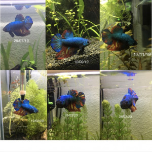 Publication de Alexxis