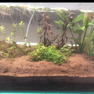 Publication de Cryoze