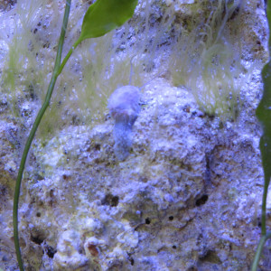 Publication de morgane5