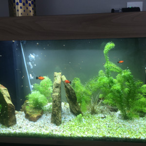 Publication de Patrick56