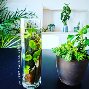 Publication de Alsept