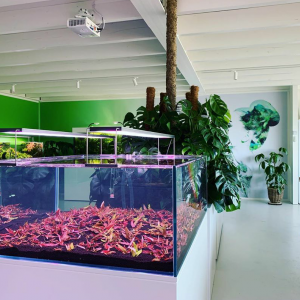 Publication de Lulu82