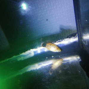 Publication de mickael-lecois