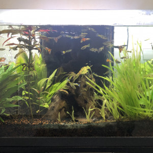 Publication de tdd69