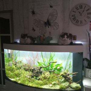 Publication de barbouille62