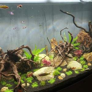 Publication de barbouille62